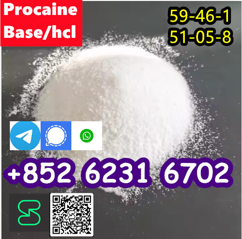 selling Procaine base CAS 59-46-1 /51-05-8 / proca