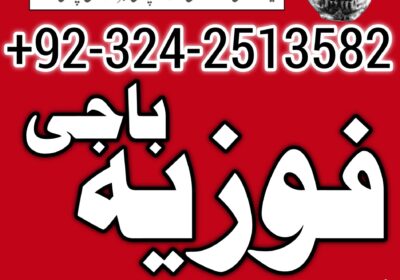 9a0abda5-0a84-46e7-9280-cbd9cc82edae