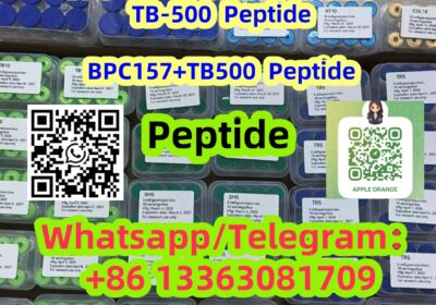 BPCTB500