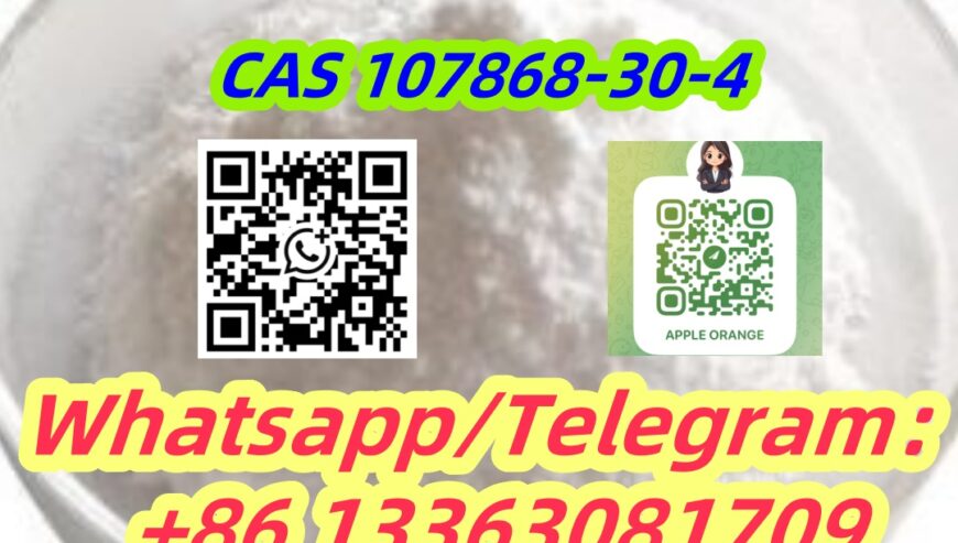 EXEMESTANE Steriod Powder CAS 107868-30-4 Aromasin
