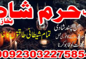 no1 certified black magic specialist expert amil b