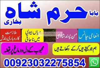 no1 certified black magic specialist expert amil b