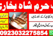 no1 certified black magic specialist expert amil b