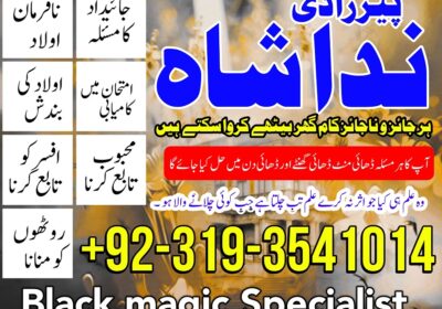 IMG-20240918-WA0048-1