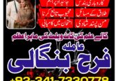 lahore amil baba in karachi professional Amil baba