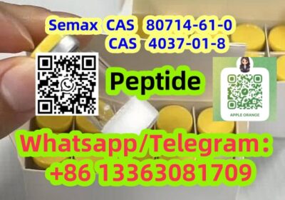 SEmax-SELANK