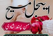 NO 1 AMIL BABA kala jadu krne wale ustaad amil bab