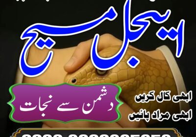 WhatsApp-Image-2025-06-19-at-9.51.51-PM-2-1