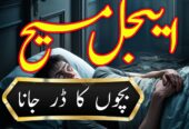 international amil baba karachi amil baba usa