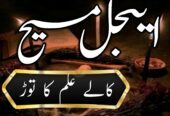 international amil baba karachi amil baba usa