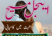NO 1 AMIL BABA kala jadu krne wale ustaad amil bab