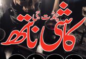Top Amil baba Bangali Kala jadu expert specialist