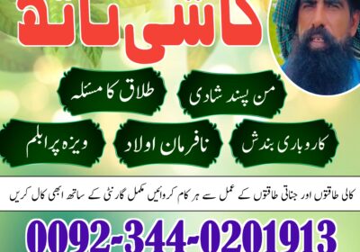 WhatsApp-Image-2025-07-26-at-2.49.00-PM-1