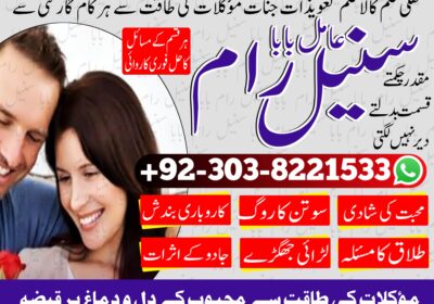 amil-baba-sunil-ram-hindu-peer-astrologer-amilbaba-india-kalajadu-black-magic-lovemarrige-horoscope-amliyat-jadoo-kalailam-03038221533-5