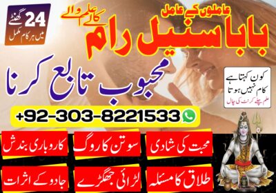 amil-baba-sunil-ram-hindu-peer-astrologer-amilbaba-india-kalajadu-black-magic-lovemarrige-horoscope-amliyat-jadoo-kalailam-03038221533-7
