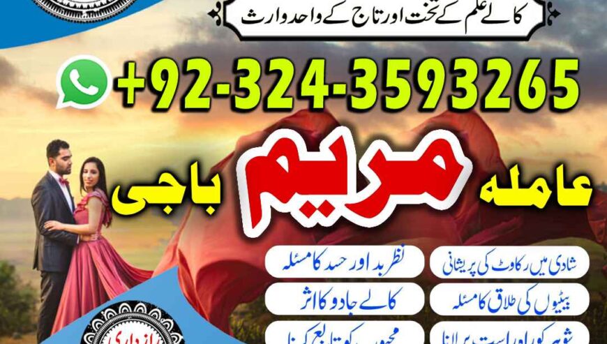 Qualified NO 1+ black magic specialist pandit amil