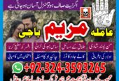 GET UR LOVE back _amil baba kala jadu blackmagic