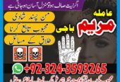 GET UR LOVE back _amil baba kala jadu blackmagic