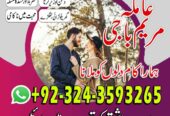get ur EX back AMIL BABA kala jadu black magicbaba
