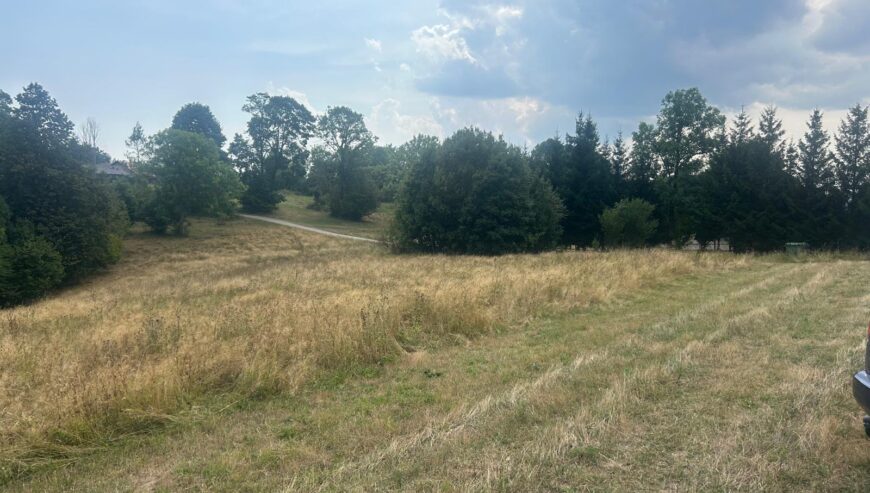 Placevi za gradnju na Zlatiboru 1,2 km od Palisada
