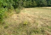 Placevi za gradnju na Zlatiboru 1,2 km od Palisada