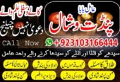 Amil baba in Qatar London Canada 03103166444 USA