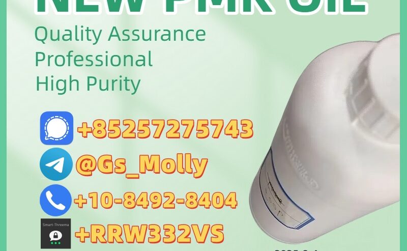 NO.1 P M K Oil Supplier! (CAS 28578-16-7) 99%
