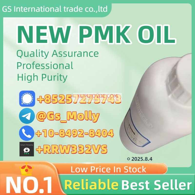 NO.1 P M K Oil Supplier! (CAS 28578-16-7) 99%