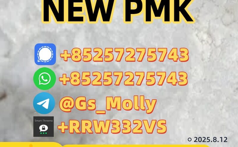 High-Quality P M K Glycidate 28578-16-7 Wholesale