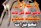 Amil baba in Qatar London Canada 03103166444 USA