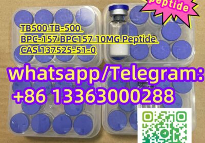 23fa378e33541a19b287b4020a0446f2-1