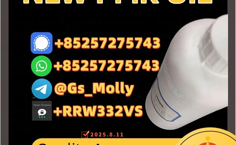 PMK Chemical Oil (CAS 28578-16-7)