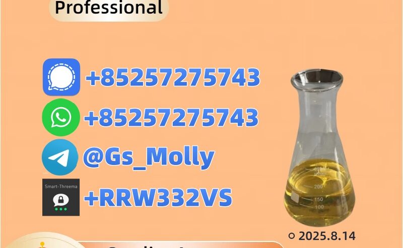 49851-31-2 B M K Methyl Glycidate Wholesale Price