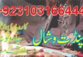 Amil baba in Qatar London Canada 03103166444 USA