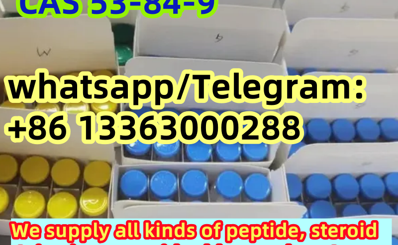 NAD+ 100mg 500mg Peptide 200mg/mL (10mL Vial) Inje