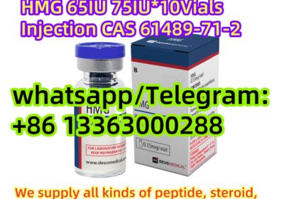 8ce4c210-be24-41a1-a98c-ece9b0f4ea1b