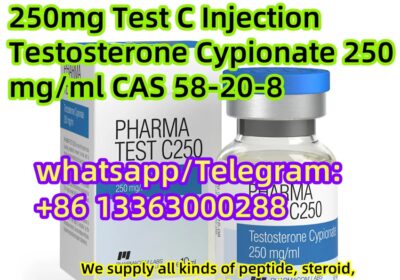 91451937-0c89-42d4-ac1d-ce78873d4a5c-1