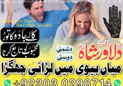 Mian-Bivi-ma-nachaki-Mian-bibi-ma-larai-jhagra-gharelo-larai-nachaki-husband-wife-dispute-husband-wife-divorce-problem-2