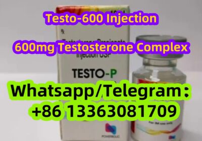 Testo-600