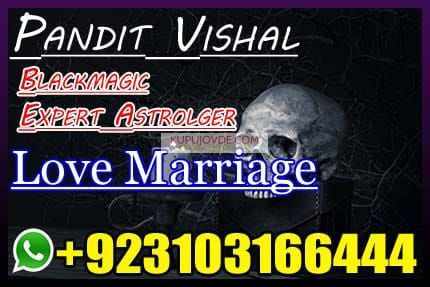 Amil Baba in Amrica kalajadu Kalailam 03103166444