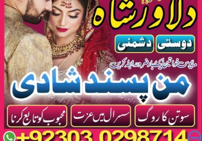 manpasand-shadi-manpasand-shadi-uk-love-marriage-specialist-manpasand-shadi-ka-wazifa-muhabat-ki-shadi-shadi-ka-taweez-online-manpasand-shadi-ki-dua-dilawarshah